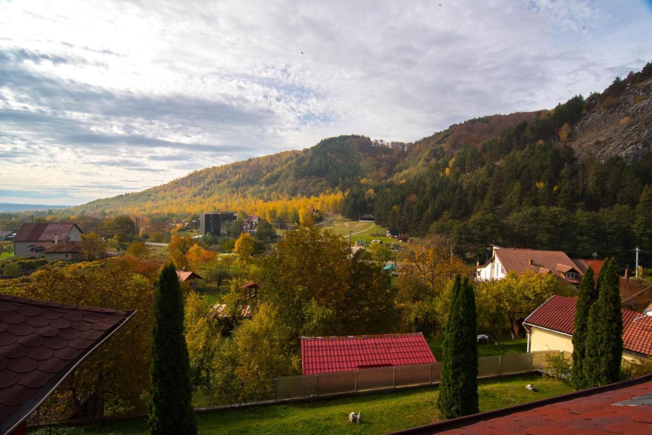 Casa Domneasca Villa Baia de Fier Eksteriør billede