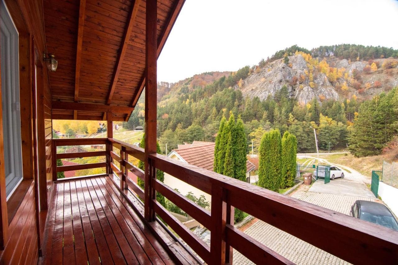 Casa Domneasca Villa Baia de Fier Eksteriør billede