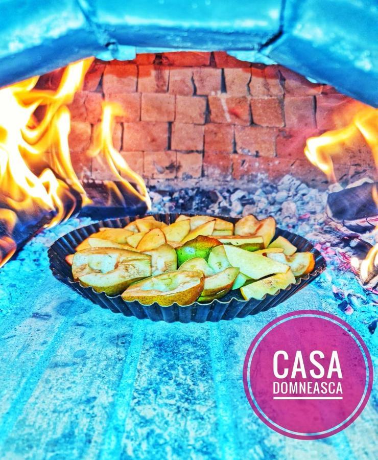 Casa Domneasca Villa Baia de Fier Eksteriør billede