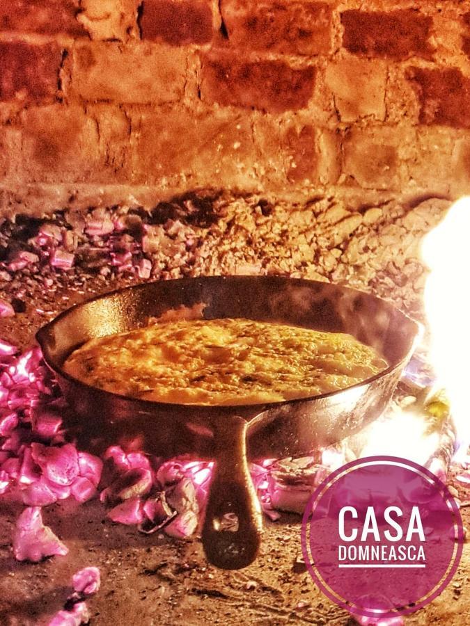 Casa Domneasca Villa Baia de Fier Eksteriør billede
