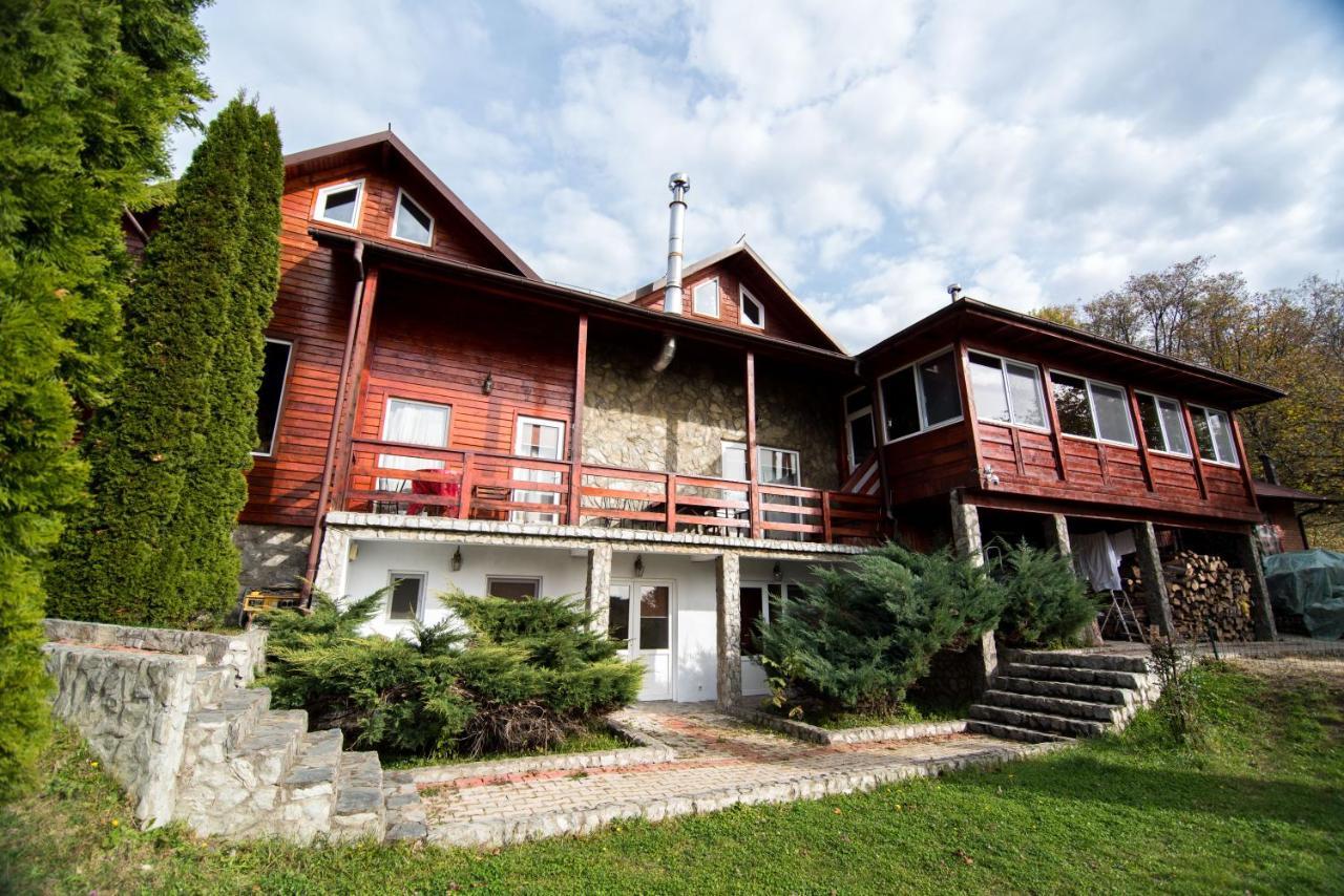 Casa Domneasca Villa Baia de Fier Eksteriør billede