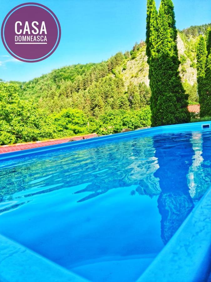 Casa Domneasca Villa Baia de Fier Eksteriør billede